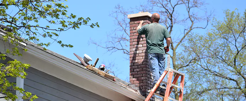 Chimney And Flue Brush Cleaning in Spruce Grove, Alberta