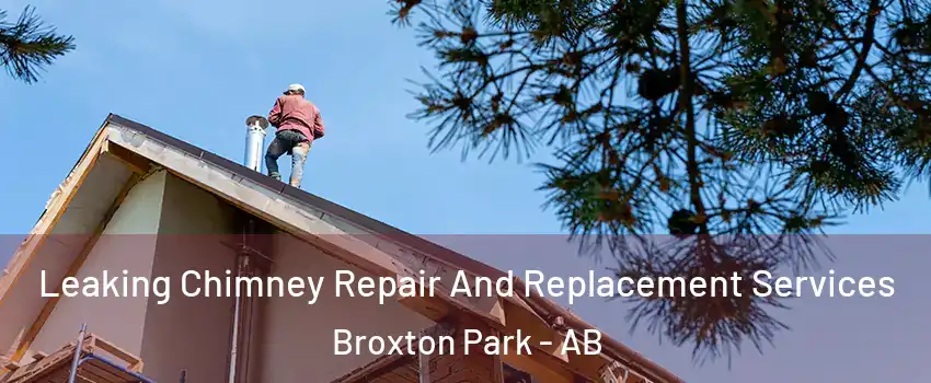  Leaking Chimney Repair And Replacement Services Broxton Park - AB