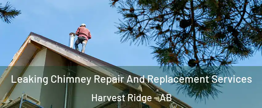  Leaking Chimney Repair And Replacement Services Harvest Ridge - AB
