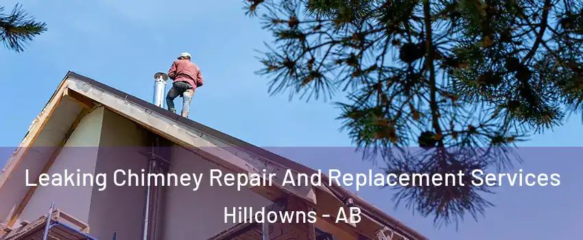  Leaking Chimney Repair And Replacement Services Hilldowns - AB