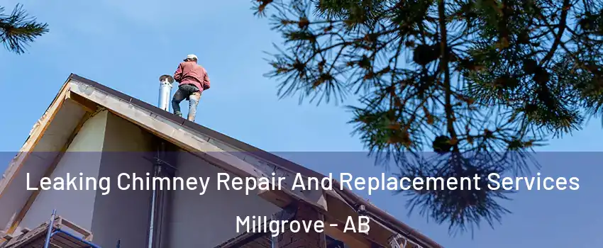 Leaking Chimney Repair And Replacement Services Millgrove - AB