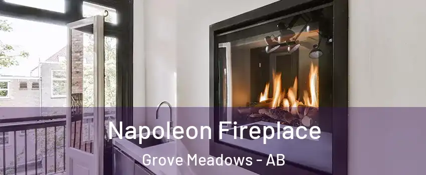  Napoleon Fireplace Grove Meadows - AB