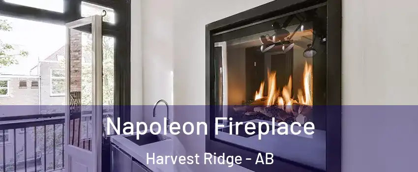  Napoleon Fireplace Harvest Ridge - AB