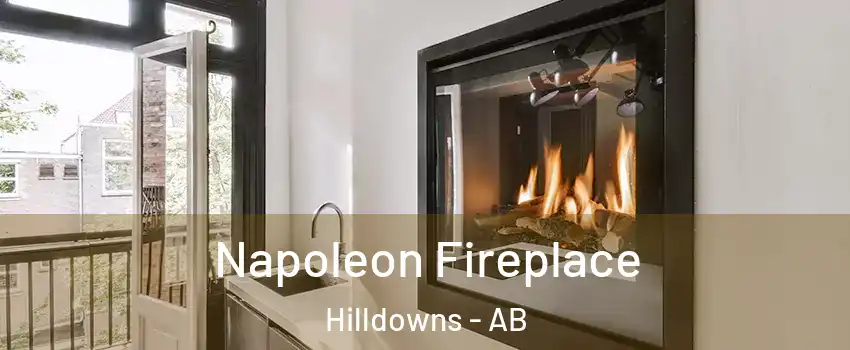  Napoleon Fireplace Hilldowns - AB