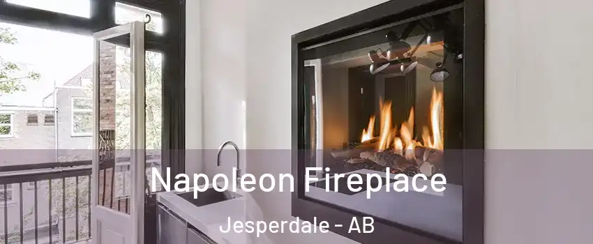  Napoleon Fireplace Jesperdale - AB