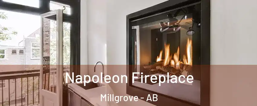  Napoleon Fireplace Millgrove - AB