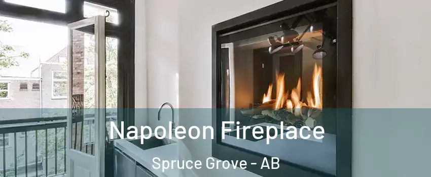  Napoleon Fireplace Spruce Grove - AB