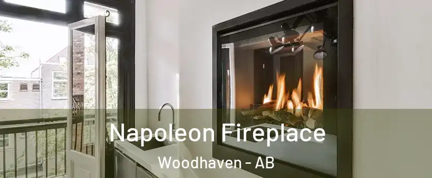  Napoleon Fireplace Woodhaven - AB