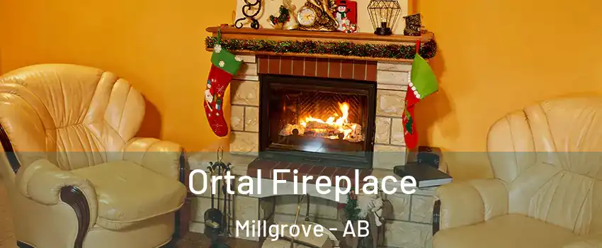 Ortal Fireplace Millgrove - AB