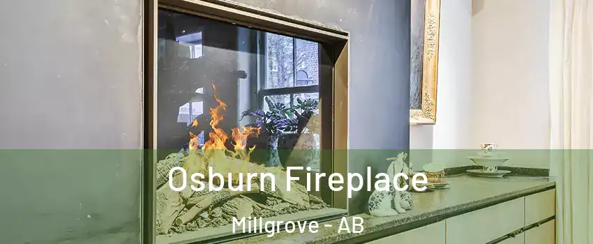  Osburn Fireplace Millgrove - AB