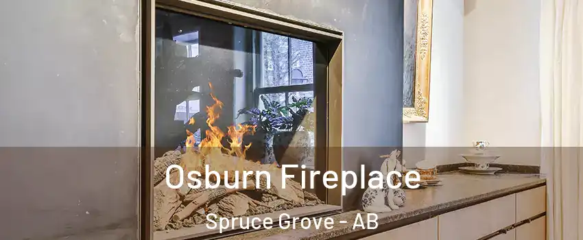  Osburn Fireplace Spruce Grove - AB
