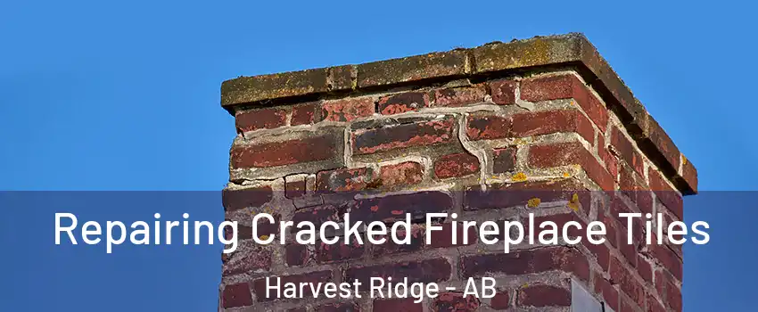  Repairing Cracked Fireplace Tiles Harvest Ridge - AB