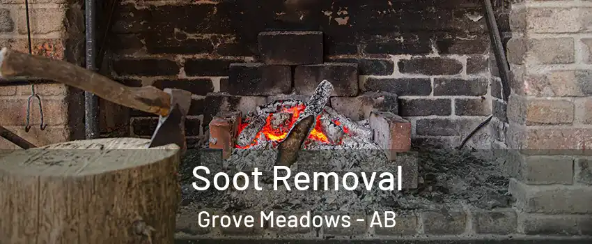  Soot Removal Grove Meadows - AB