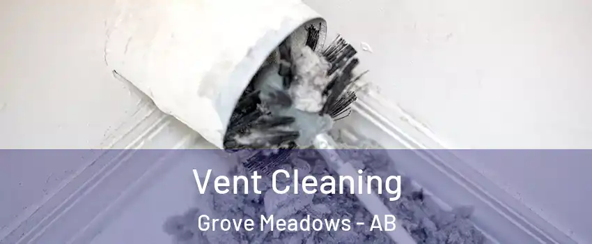  Vent Cleaning Grove Meadows - AB