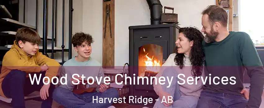  Wood Stove Chimney Services Harvest Ridge - AB