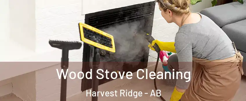  Wood Stove Cleaning Harvest Ridge - AB
