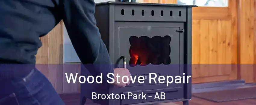  Wood Stove Repair Broxton Park - AB